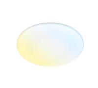 BRILONER - LED Ceiling lamp Bathroom with indirect Light, Remote Control, dust and Splash Water Protection, LED Ceiling Light, Bathroom lamp, Kitchen lamp, Damp-Proof luminaire, 45 x 5 cm, White
