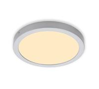 Briloner LED Ceiling Light Wall Sconce Chrome Matt Ø30cm IP44 21,4W 3000K