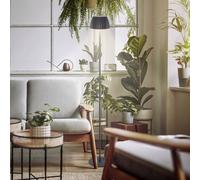Briloner LED floor lamp Loca, anthracite, height 123 cm Plastic/metal