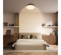 BRILONER - LED Ceiling Light with Warm White Light Colour, 10W, 1200lm, LED Light, Ceiling Lights for Living Room, Ceiling Lights Bedroom, Ceiling Light Lounge, 28.5X7.6 cm, Anthracite