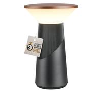 BRILONER - Pilia Rechargeable LED Table Lamp, Stepless Touch Dimmer, IP44, USB-C, Night Light, Bedside Lamps, Battery Lamp, German Design Award Winner 2026, 15 x 24 cm, Anthracite Bronze Metallic