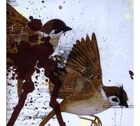 Bring Me The Horizon - This Is What The Edge Of Your Seat Was Made For