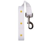 'Bring your own sunshine' Dog Lead/Leash (DL00014318)