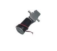 Bringsmart 12V Electric Gear Motor Double Shaft DC Worm Motor High Torque Reducer Reversed Gearbox A58SW31ZYS Advertising Board(Package D,160rpm)