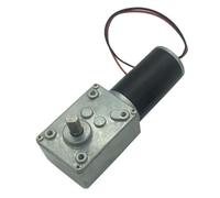 BringSmart A58SW31ZY DC Worm Gear Motor, 12-24V, High Torque 1.6-70kg.cm, Self-Locking D-Shaft, for Rotating Tables and Door Applications, CCC CE RoHS Certified (5rpm 24V)