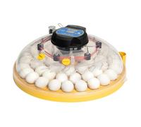 Brinsea Maxi 48 EX Connect - British Made, Top of the Range, Full-featured App Controlled 48 Hen Egg Incubator