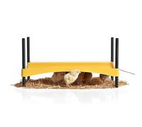 Brinsea Products Ecoglow Safety 1200 Brooder for Chicks Or Ducklings, Yellow/Black