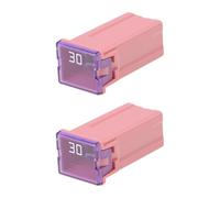 Briny River 2Pcs Car 30A Slow Blow Fuse 13133860 Compatible with Vauxhall