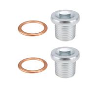 Briny River 2pcs Car M16 x 1.5mm Sump Plug with Copper Washers Compatible with Rover Compatible with Citroen