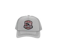 BRISA VW Collection - Volkswagen Trucker Mesh Cap Hat Headwear with T1 Bus Design One Size (Legendary/Gray)