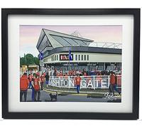 Bristol C Ashton Gate Football Stadium. Framed, Professionally Printed City Memorabilia Giclee Art Print.