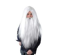 Adult Long White Beard and Wig Wizard Costume Accessory Set