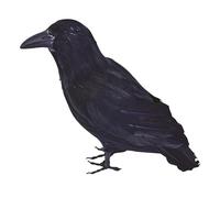 Bristol Novelty BA702 Feather Raven, Unisex-Adult, Black, One Size