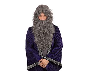 Bristol Novelty BW573 Wizard Grey Wig | for Adult Accessory, One Size Halloween
