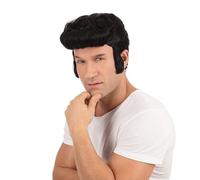 Bristol Novelty BW686B Greaser Wig, Men, Black Halloween