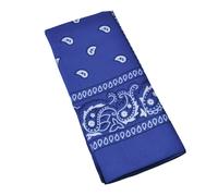 Bristol Novelty Cowboy Bandana - Blue - Blue - One Size
