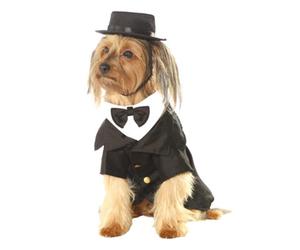 Bristol Novelty Dapper Dog Costume Black/white (M)