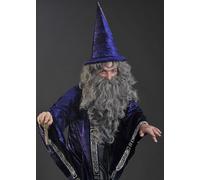 Bristol Novelty Dumbledore Style Grey Wizard Wig and Beard Set