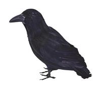 Bristol Novelty Feather Raven - Black - Black - One Size