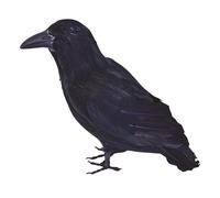 Bristol Novelty Feather RavenOne Size Black BN1689