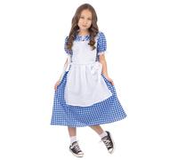 Bristol Novelty Girls Classic Dorothy Dress BN3091
