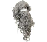 Bristol Novelty Grey BW573B Wizard Wig for Adult Fancy Dress, Men (Bagged)