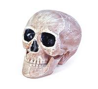 Bristol Novelty HI266 Accessory | Realistic Skull Head | 1 Piece | Multicoloured | 21 cm, Pink/White, One Size