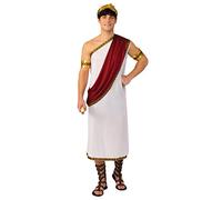 Bristol Novelty Official Forum AC624 Standard Adult Mens Caesar Costume