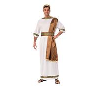 Ultimate Grecian Toga Sash Costume - Unleash your Inner Deity