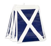 Bristol Novelty PG022D Scotland Bunting, Blue/White, One Size