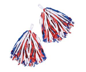 Bristol Novelty Pom Poms (Pair) BN1519