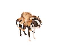 Bristol Novelty Spider Dog Costume Brown/black/white (L)