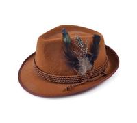 Bristol Novelty Unisex Felt Hat With Feathers Brown (One Size)