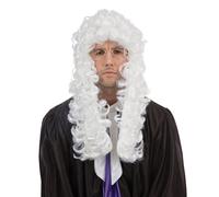 Bristol Novelty Unisex Judge Wig - White - White - One Size