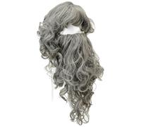 Bristol Novelty Wizard Beard & Wig Set / One Size Grey BN6095