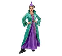 Bristol Novelty Womens Witch Costume - Green/Purple - Green/Purple - S