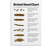 Bristol Stool Chart Diagnosis of Intestinal Constipation and Diarrhea Knowledge Chart Poster Wall Art Decor Posters Wall Decor Metal Tin Sign 8x12 Inch