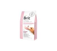 Brit GF Veterinary Diet Dog Hypoallergenic 12 kg Pet Food Hypoallergenic Food for Dogs