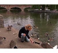 Britain's Historic Countryside