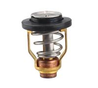 BritBolt 60V-12411 Thermostat 50℃ 122℉ Compatible With 4 Stroke F115 LF115 115HP Marine Engine And 2 Stroke 220 225 250 300HP Outboard Motor Parts 60V-12411-00