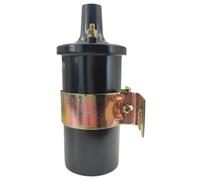 BritBolt Ignition Coil 300-8M0079202 For 392-7803A4 392-805570A2 392-805570A1 Compatible With Thunderbolt IV V V6 V8