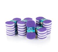 Brites, 24 Pack, Non-Scratch, Anti-Bacterial and Anti-Grease Washing Up Sponge, Cleaning Products, Kitchen Sponge, Scourers Purple