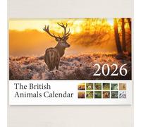 British Animal 2026 Wall Calendar Featuring Stunning Photography of Animals from Britain - Includes All UK & World Holidays & Dates Included | Perfect Christmas Calendar for the Home and Office