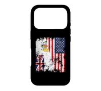 British Antarctic Territory USA Flag Distressed Case for iPhone 17 Pro
