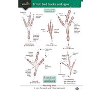 British Bird Tracks and Signs (WildID)