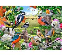 British Birds Glass Board Lge
