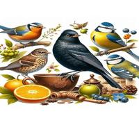 British Birds - Glass Worktop Saver/Protector - by Pearl Glass (60 x 40cm Extra Large)