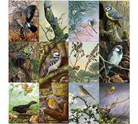 British birds greeting card pack multipack by Dick Twinney