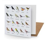 British Birds Greetings Card Suitable for Birthdays, Thank You, Any Occasion, 15 x 15 cms, Multi-Coloured (NEW)