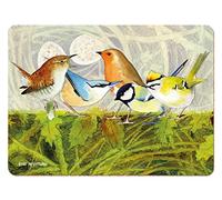 British Birds Nest Placemats - Set of 4